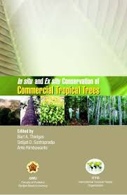 Company information products and services representatives ads. In Situ And Ex Situ Conservation Of Commercial Tropical Trees Itto