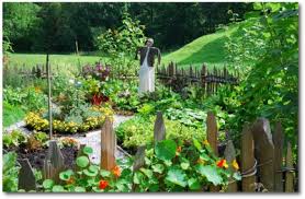 free vegetable garden design software