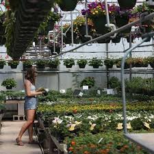 greenhouse springfield il landscaping