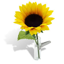 Car Flower Sunflower 12 99