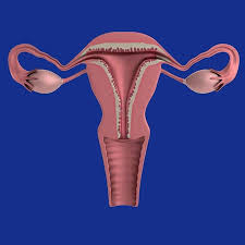 O primeiro sintoma da endometriose é a dor pélvica, quase sempre. Siete Problemas O Enfermedades Del Utero Que Podrian Afectar A La Fertilidad Sintomas Y Tratamiento
