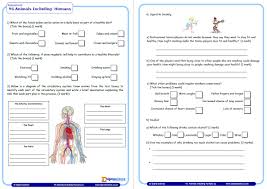 Science worksheets listed by specific topic area. Year 6 Science Assessment Worksheet With Answers Humans Including Animals Teachwire Teaching Resource