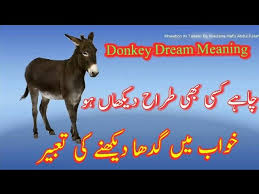 donkey dream meaning khwab mein