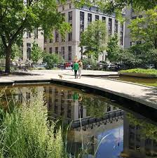 NYC Parks on Twitter: "Did you know there once was a large 60-foot deep  pond right in the heart of downtown Manhattan? Collect Pond was filled in  all the way back in