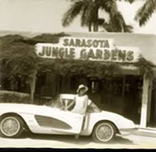 About Us Sarasota Jungle Gardens