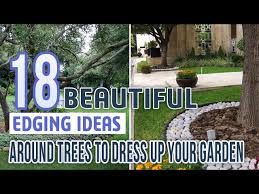 18 Beautiful Edging Ideas Around Trees
