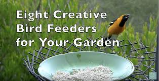 Creative Bird Feeder Materials How To