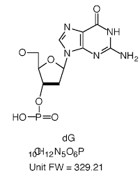 oligocalc oligonucleotide properties