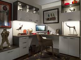 Interior And Under Cabinet Led Lights Modern Home Office New York By Transform Home