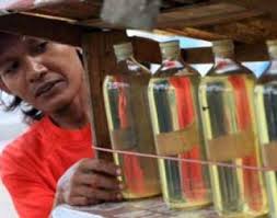 COM, PURUKCAHU - Harga bahan bakar minyak jenis premium di tingkat pengecer di Puruk Cahu, Kabupaten Murung Raya, Kalimantan Tengah, dalam beberapa hari ... - 426d96330c1fc868a0ef0dc9099fab90