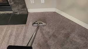 pet stain and odor removal in calgary