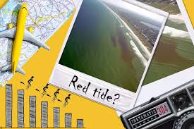 economic impact of florida s red tide
