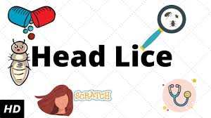 head lice easily with home remes