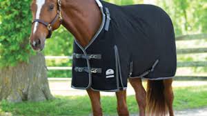 blanket fit for any horse horse