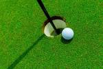 Golf Course Grass Seed Solutions: Kentucky Bluegrass, Kikuyu Grass