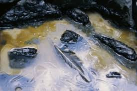 oil spill study partints