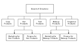 Type Of Organizational Structures Creative Media Graphic