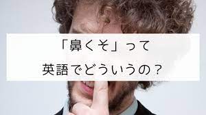英単語】「鼻くそ」って英語でどういうの？｜日本語教師の英語講座