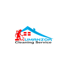 carpet cleaning services buford ga