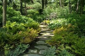 Inspiring 35 Beautiful Woodland Garden