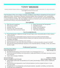 Chief Operating Officer Resume Sample Officer Resumes