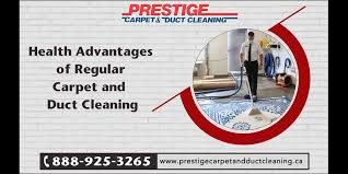 regular carpet and duct cleaning