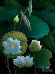Il loto è utilizzato nei giardini acquatici fin dall'antichità. White Lotus Fiori Ninfee Fiore Di Loto