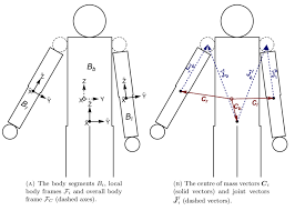 visualisation of body segments body