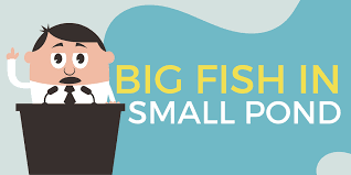 big fish in a small pond idiom