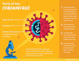 Have fun making trivia questions about swimming and swimmers. Teens Your Coronavirus Questions Answered Together
