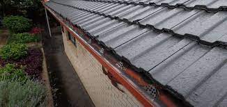What S The Best Paint For Roof Painting