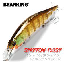 Bearking 120mm 18g SP jerkbaits hot model fishing lures hard bait different  colors for choose minnow quality professional minnow - AliExpress