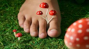 how do you treat toenail fungus the