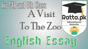 ROTWNEWS com BEAR BEAR ALPINE ZOO PurrFect Time To Visit The Ghumakkar  chattanooga zoo reviews              