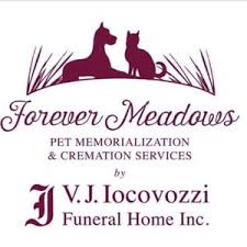 funeral homes near little falls ny