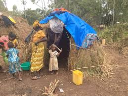The 2019 birth rate for dr congo was 40.6 births per 1,000 people. Canada Supports Iom Scale Up Of Humanitarian Aid For Displaced People In Dr Congo International Organization For Migration