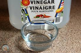 homemade ant repellent with vinegar