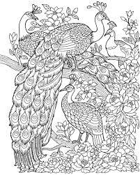 These little animals are just waiting for a few colors to come to life, so take your pens. Freebie Friday Peacock Adult Coloring Book