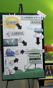 Active Anchor Chart Carbon Cycle
