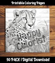 cheetah coloring pages printable 50