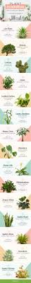 Plant Symbolism Guide 31 Plants For Every Personality