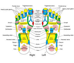 Foot Reflexology Acupuncture Massage Mat