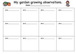 Plant Growing Observation Sheet Plants 2nd Grade