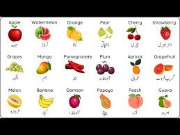 fruits name in english and urdu پھلوں