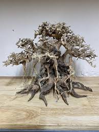 Driftwood Art Bonsai Driftwood
