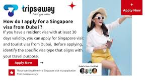 what is singapore visa singapore