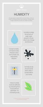 Everything You Need To Know About Humidity In Your Home