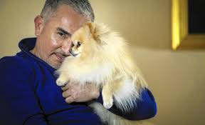 That would change a decade later. Dog Whisperer Cesar Millan On Why Americans Have So Many Problems With Their Dogs Chicago Tribune