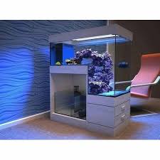 fish tank with cabinet at rs 3500 piece