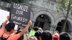 Image result for daca